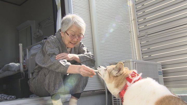 年齢を理由に諦める人も…ペットも高齢者も幸せに 犬の保護団体が広げる選択肢 変わる社会の取り組み