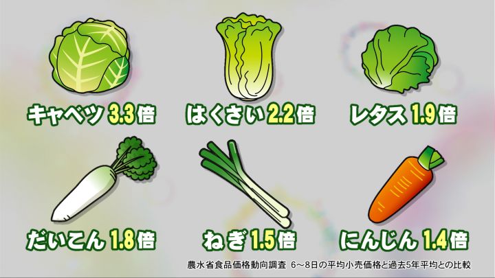 過去5年比でキャベツ3.3倍 白菜2.2倍…葉物を中心に野菜の高騰続く “ほうれん草”と“キノコ類”は価格が安定