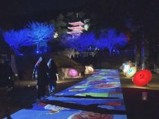 プロジェクションマッピングも…夜の岐阜公園をライトアップする冬のイベント「ぎふ灯り物語」1/26まで