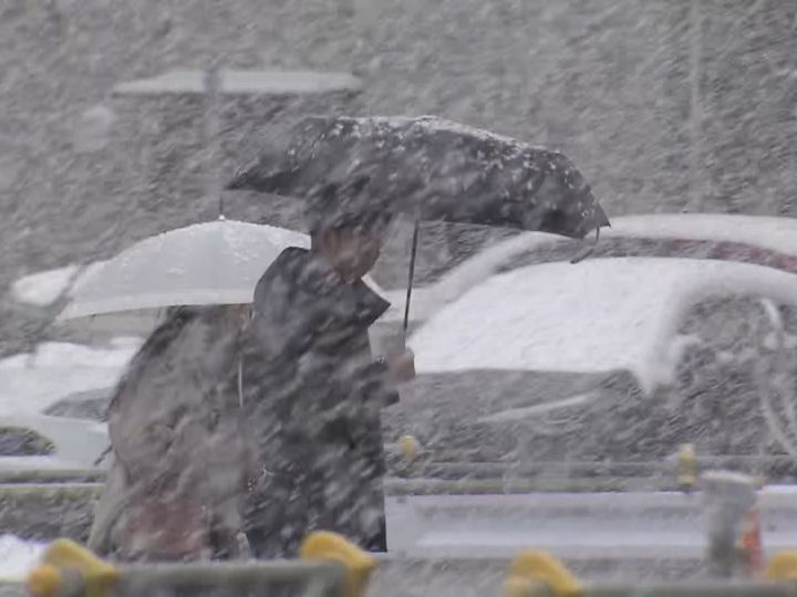 スリップ事故は計500件以上…東海3県で大雪 三重県北部に大雪警報 名古屋は積雪1cmを観測し名古屋城も雪化粧