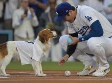 大谷翔平の愛犬デコピンが２８年ロス五輪イメージキャラクターへ！ ドジャース内で検討