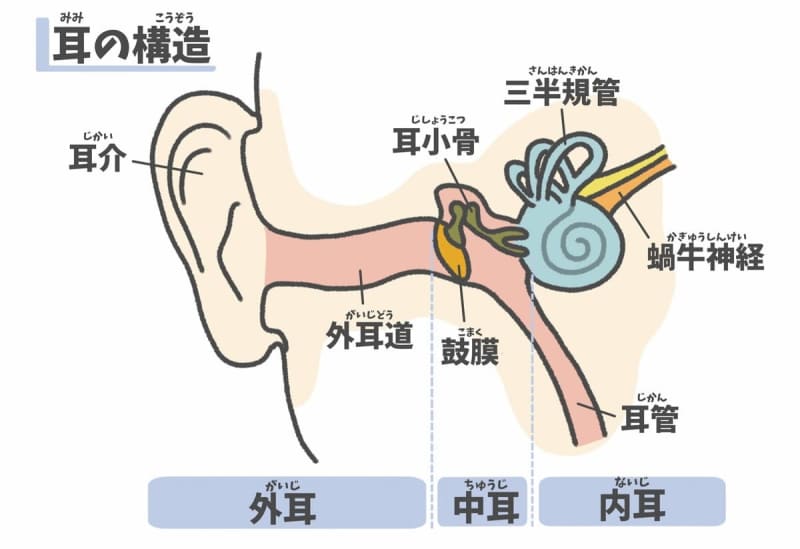 【女医のお部屋】耳が原因のめまい　症状が出て１週間以内なら使える薬の選択肢が広がるケースも