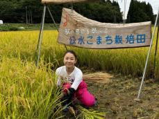 岩本公水が実家で恒例の稲刈り「今日の稲刈りは夢のような時間に感じます」