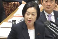 れいわ新選組・櫛淵万里共同代表　野党側に「再び消費税の減税法案を提出しよう」と呼びかけ