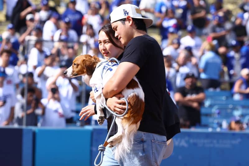 大谷翔平　愛犬デコピンに関して異例のお願い「この犬種の頭数は減っている」