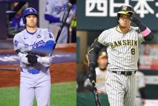 プロ野球「投高打低」打破のカギを伊勢孝夫氏が指摘　大谷翔平＆佐藤輝明の〝すり足打法〟や！