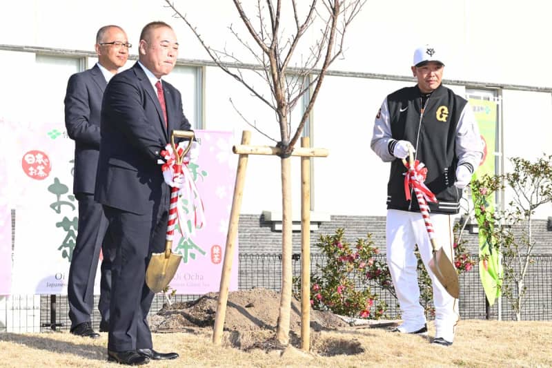 【巨人】阿部監督が桜の植樹会で〝阿部節〟さく裂「満開になるころに僕はいないかもしれませんが…」