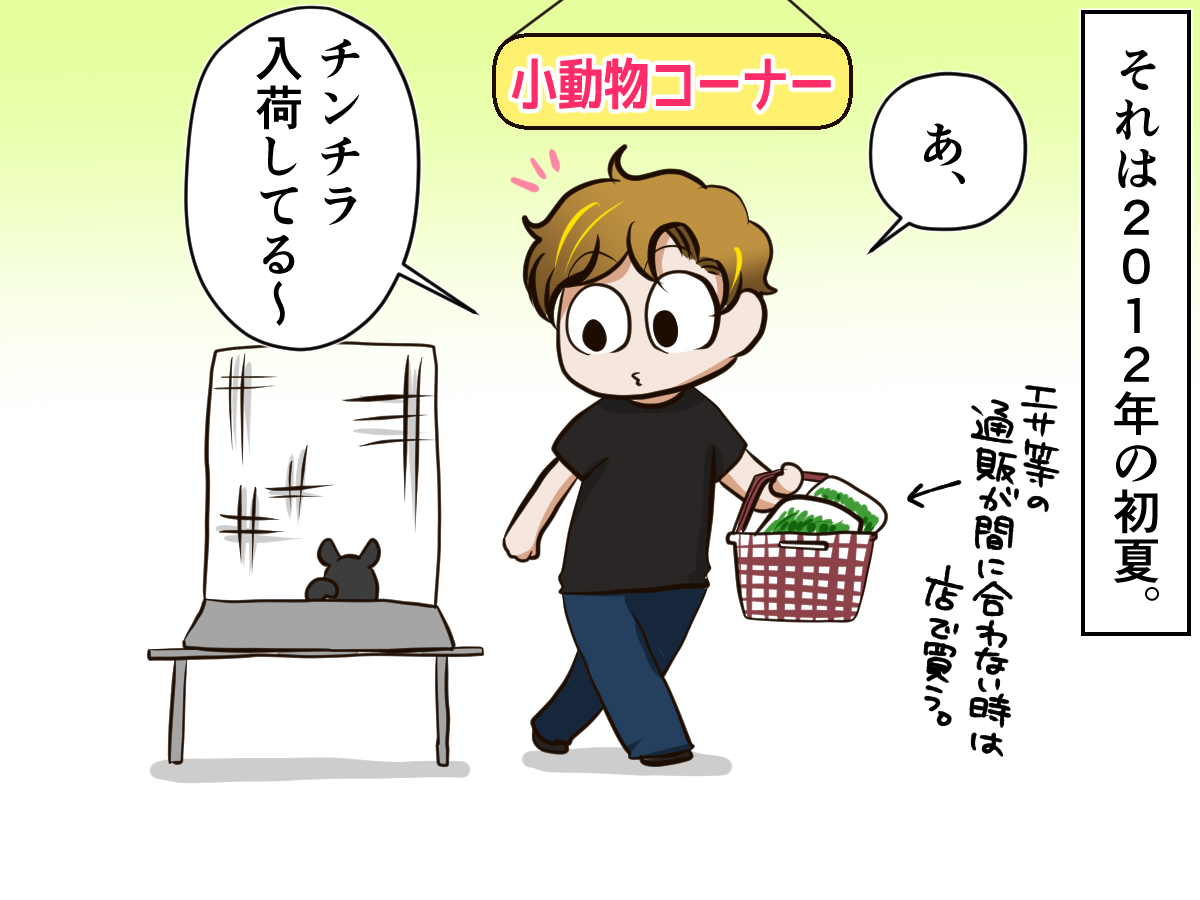 ペットショップの古株だったチンチラとの出会い 迎えてくれたチンチラとまさかの仲良しに 記事詳細 Infoseekニュース ペットショップの古株だったチンチラとの出会い 迎えてくれたチンチラとまさかの仲良しに 記事詳細 Infoseekニュース