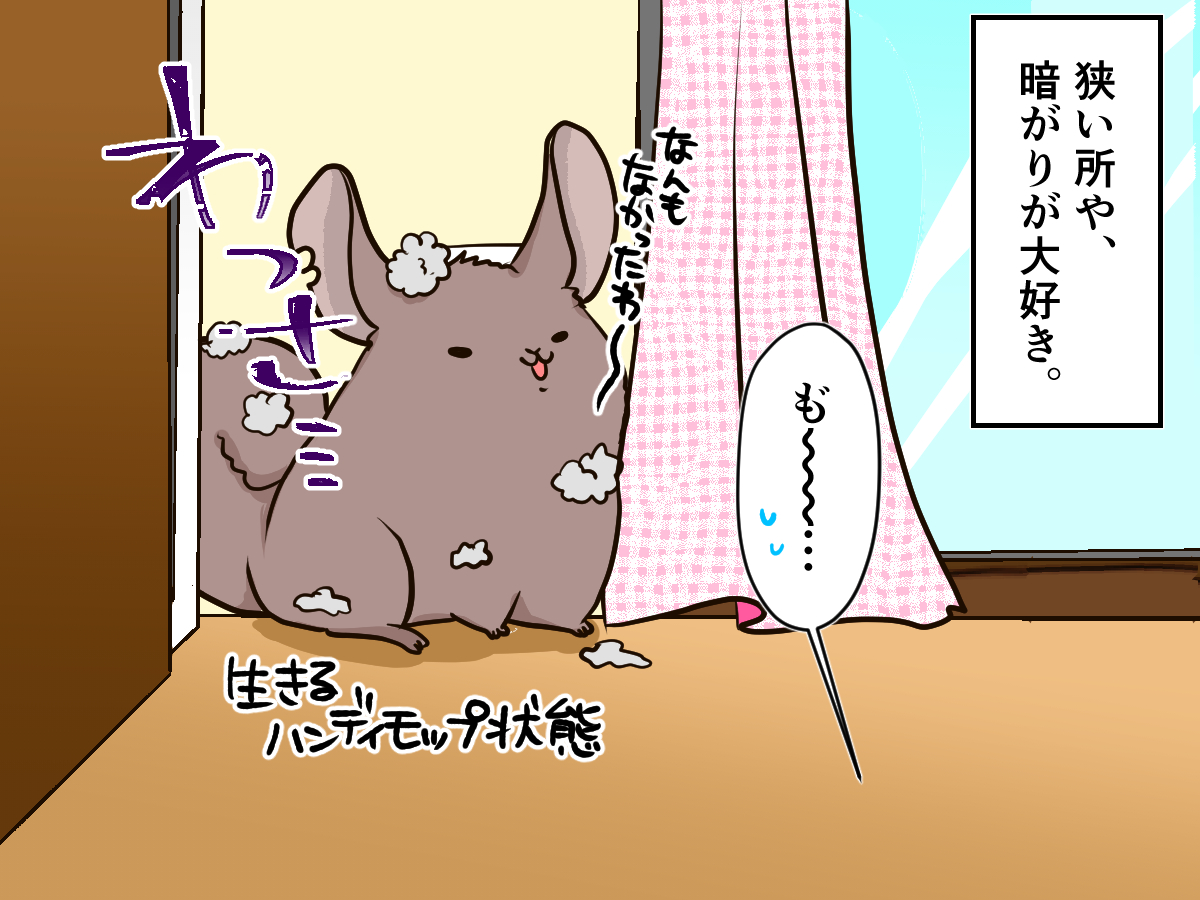 toushin1_13728_0.jpg