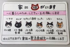 猫マンガ家も携帯するレスキューカード　あなたも考えてみませんか？