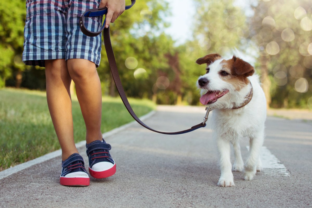 子どもが 犬を飼いたい 費用は 環境は 飼う前に要チェックの4つのポイント 記事詳細 Infoseekニュース