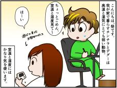 慣れればできる、でも覚悟は必要!? チンチラをお迎えするなら知っておいて欲しいこと【チンチライフ110話】