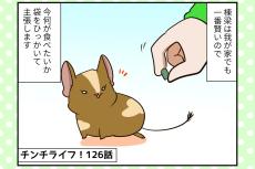 しつこくて嫌われた!? デグーに頬ずりするのがやめられない件 【チンチライフ126話】