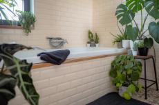 観葉植物 浴室に飾れる品種オススメ8選 夏のバスタイムがナチュラルで爽やかに 記事詳細 Infoseekニュース