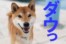 配当利回り4.6%！「ダウの犬」型・日本株ファンドの作り方