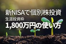 新NISAで個別株投資：生涯投資枠1,800万円の使い方