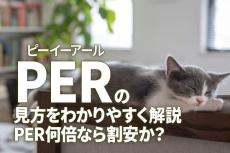 PER（株価収益率）の見方をわかりやすく解説！PER何倍なら割安か？