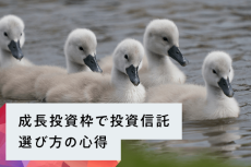 新NISA成長投資枠を使いこなすには？投資信託編：商品選びの心得