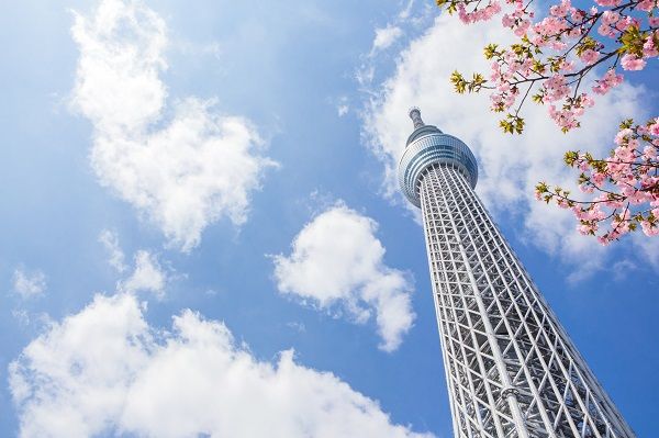 東京スカイツリー　七宝焼　2012 2012（平成24）年5月22日】東京スカイツリーが開業｜Infoseekニュース