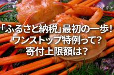 「ふるさと納税」最初の一歩！ワンストップ特例って？寄付上限額は？（窪田真之）