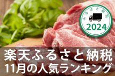 ［ふるさと納税］2024年11月の人気返礼品トップ10