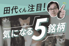 5万円で買える日本株5選！NISAで長期投資なら、為替の影響を受けにくい銘柄を