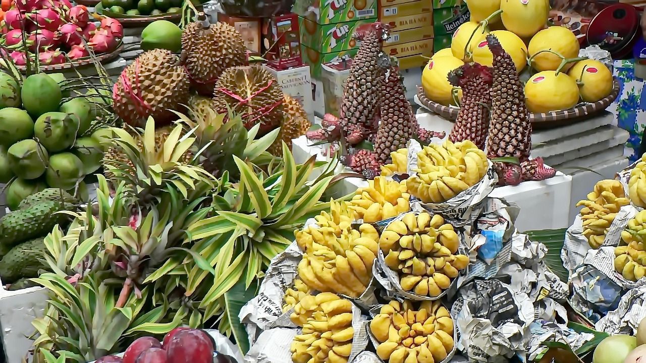 東南アジアから｢果物の対中輸出｣が急増の背景 ベトナム産ドリアンの輸出額は前年の16倍に