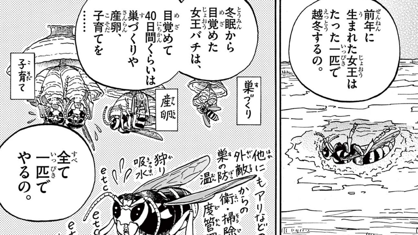 日本で最も人を殺す｢野生生物｣の驚くべき一生 漫画｢へんなものみっけ！｣（第10集･第81話）
