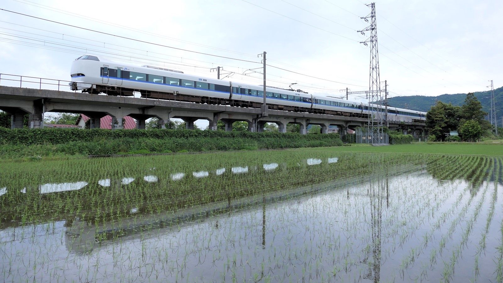 湖西線､関西と北陸結ぶ｢大動脈｣開通50年の転機 京都鉄道博物館は記念の｢レア企画｣で盛り上げ