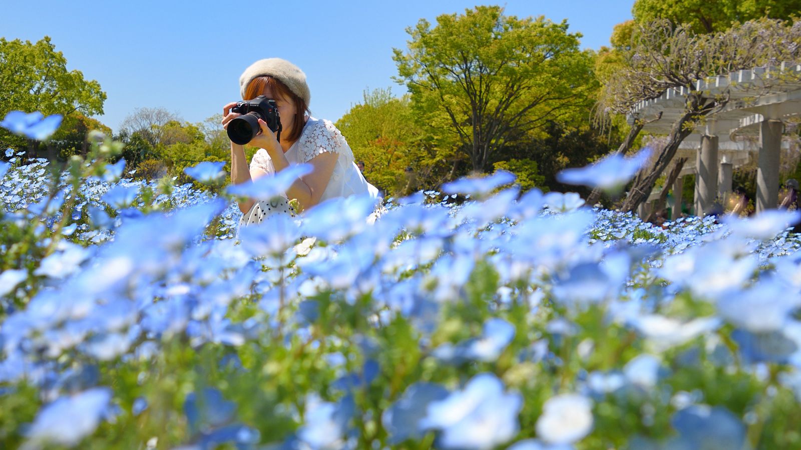 SNSで目立つ写真の｢7つのルール｣色と被写体編 写真を撮りまくって｢勝ち筋｣を見つけよう！