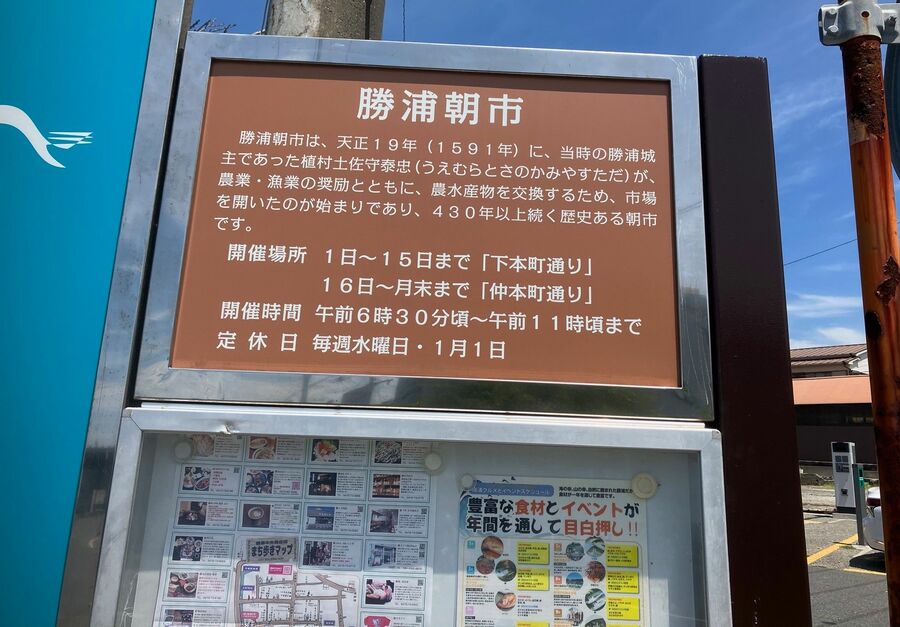 ｢猛暑日ゼロ｣の勝浦､7月下旬に訪れた正直な感想 東京駅から1時間半､8月最高気温の平年値は29.0度