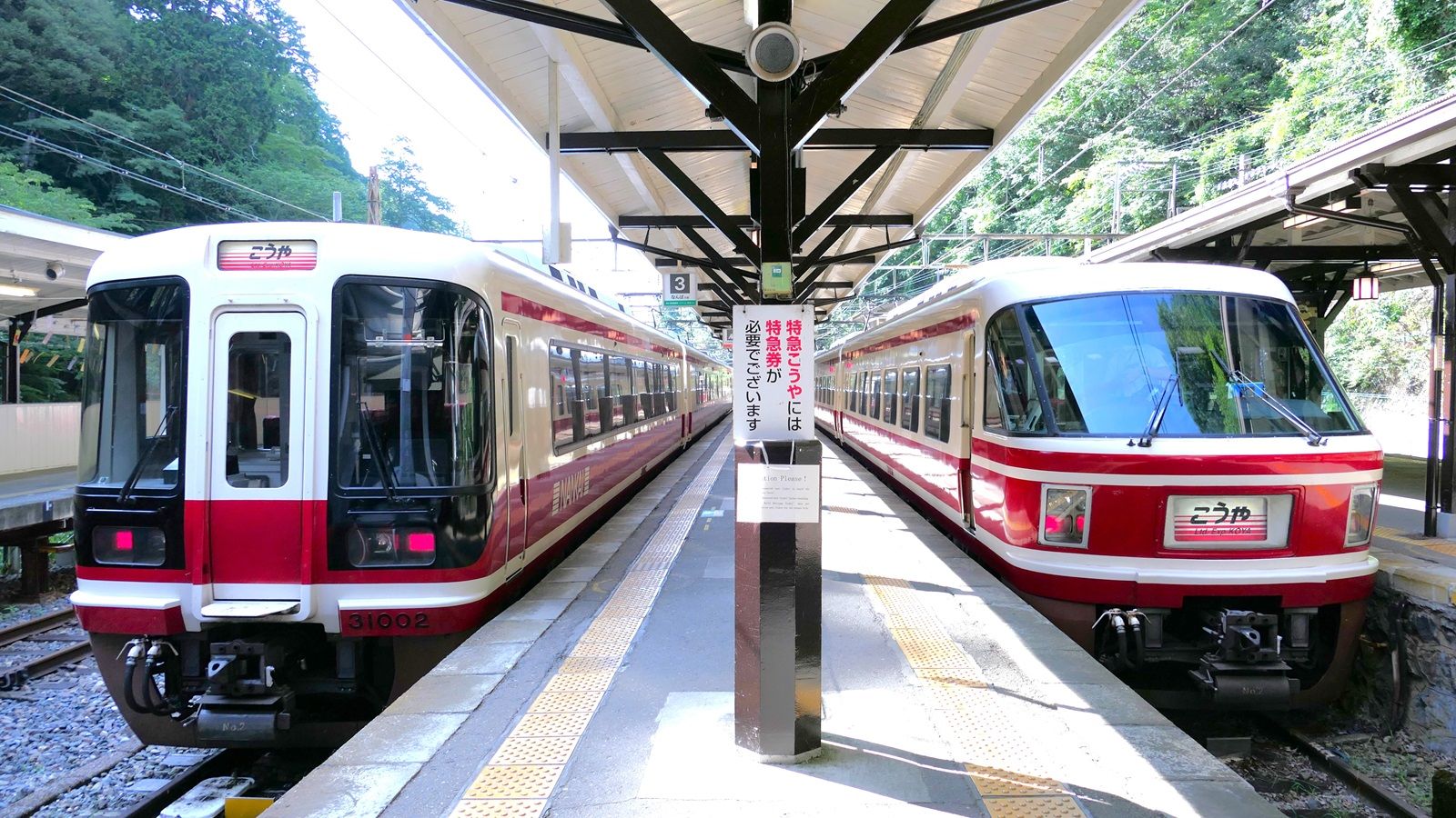 ｢南海高野線の終点｣極楽橋､知られざる駅前風景 ケーブルカー乗り継ぎが中心､改札を出ると…?