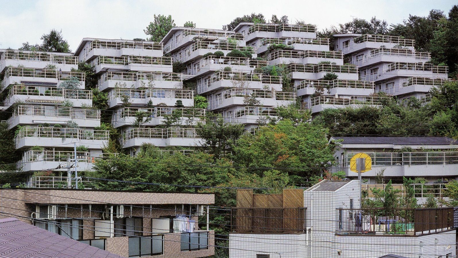 "斜面の魔術師"作った｢集合住宅｣の衰えない人気 里山に溶け込む住宅､緑が豊かな部屋の内部