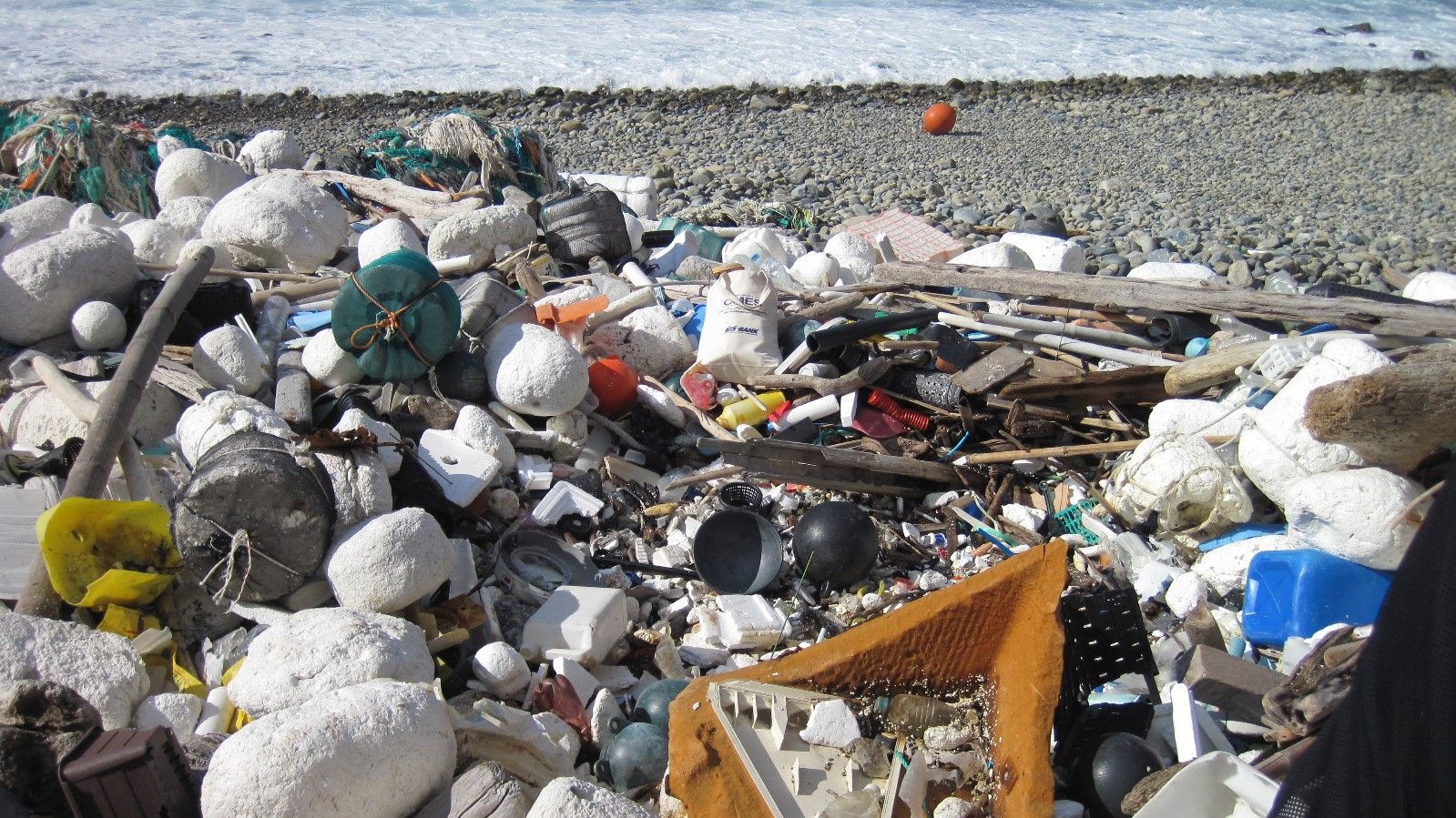 深刻なプラスチック汚染､生産自体に総量規制を 汚染研究の第一人者が期待する条約制定