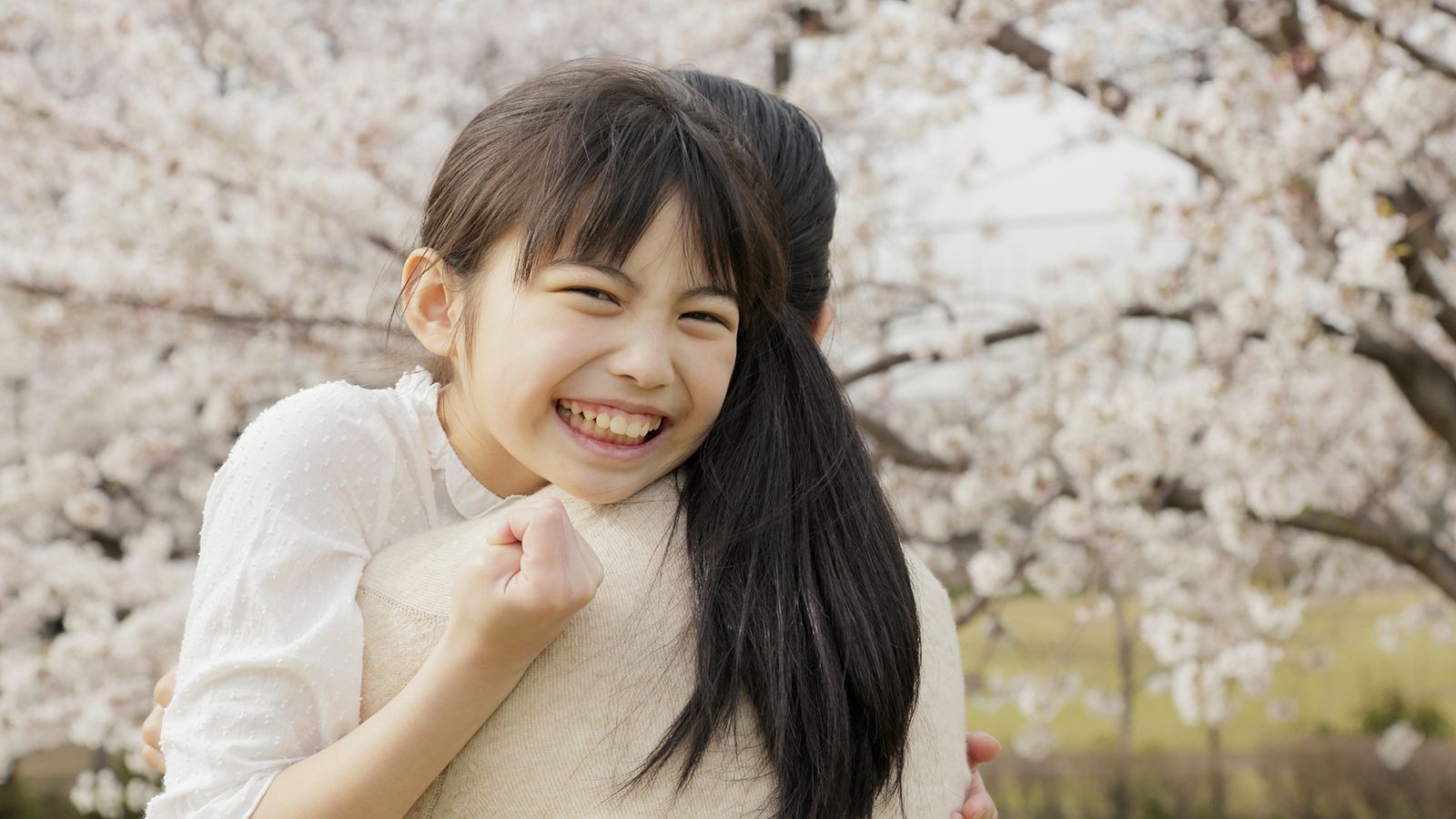 最終局面の中学受験｢気高き12歳に満開の桜を！｣ 無鉄砲な突撃は危険！終了組からのアドバイス