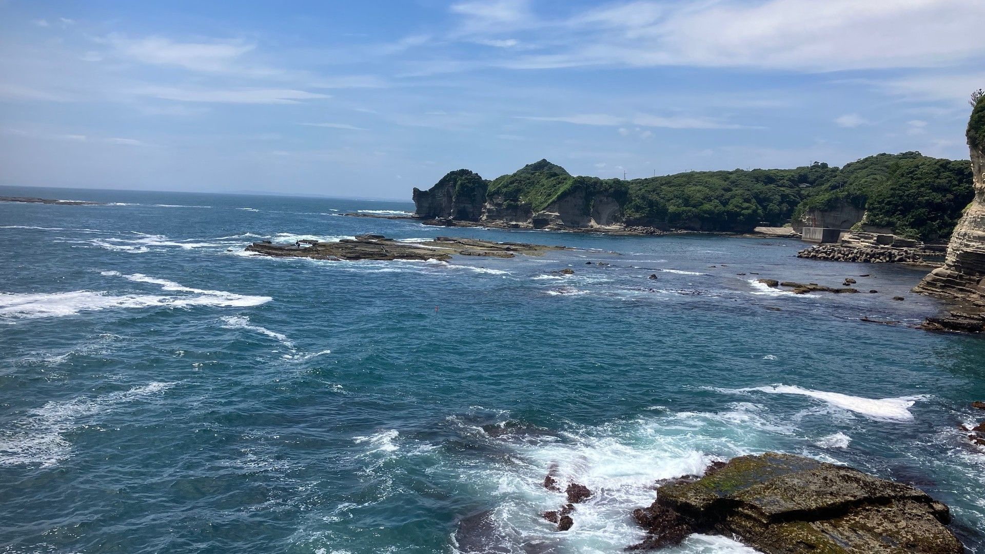 ｢余命1年｣治療第2弾がん免疫療法のリアルな効果 副作用は軽く､旅行に行けるほど体調良好だったが…