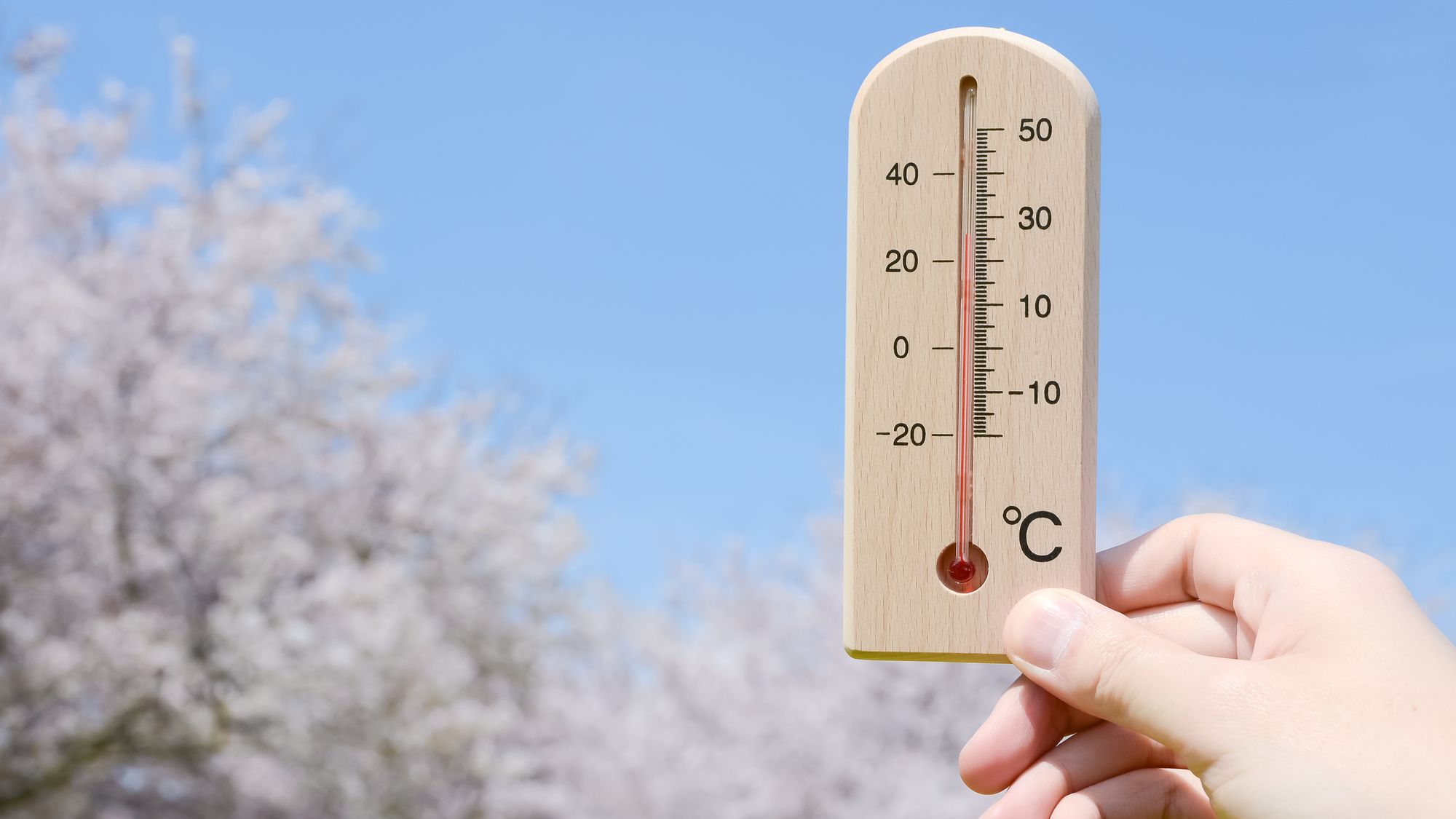 ｢大寒なのに高温｣今後どれくらい気温が上がる？ 花粉はすでに飛散開始､東京は｢統計史上最早｣