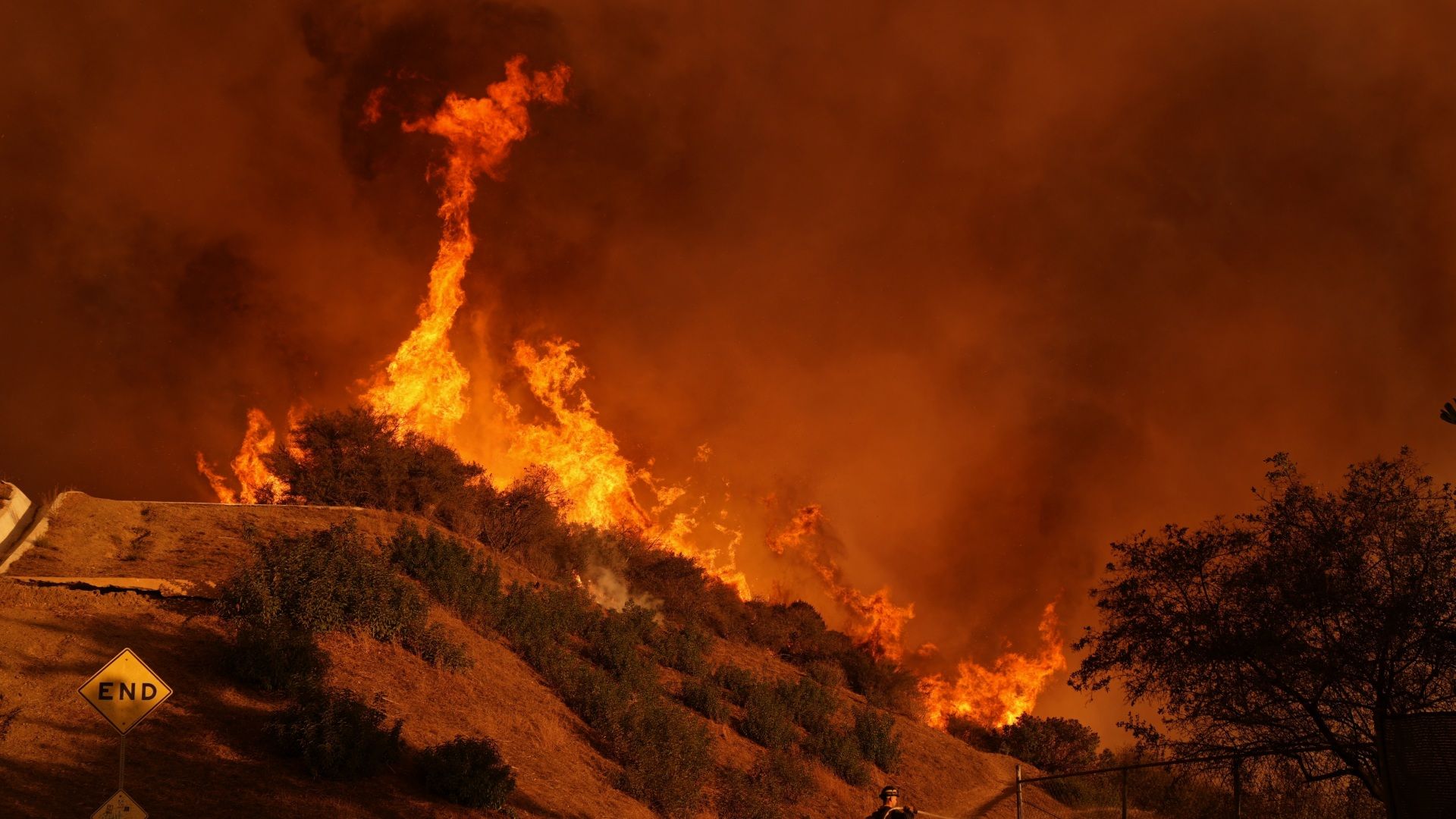 山火事で明るみに出たL.A.セレブの｢桁違い｣度 火事の数日後から不動産仲介の電話は鳴りっぱなし