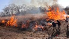 山火事にならない？｢野焼き｣が現代に復活の理由 春を告げる野焼きは全国で100カ所以上で実施