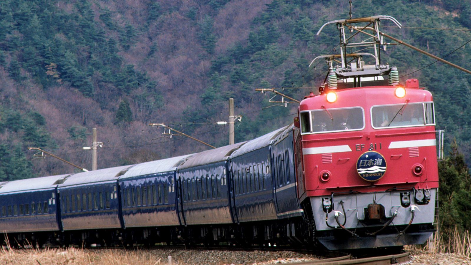 EF81｣万能選手の電気機関車