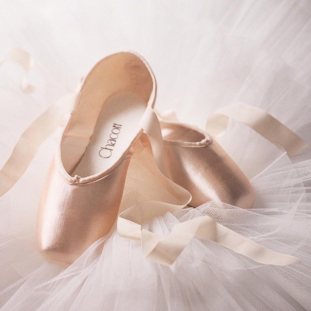 バレエ人口減｢老舗チャコット｣今の意外な成長柱｜Infoseekニュース