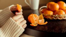 こたつみかん✩✩✩ コタツでミカンは最高だねぇホゲータ！🍊😆🐊 #ホゲータ