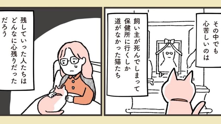 老後も猫と暮らせる可能性は？