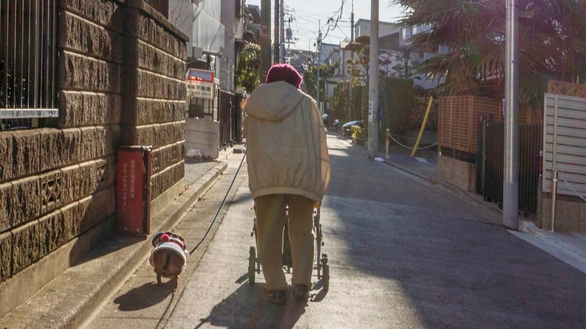 犬を飼う高齢者は｢認知症リスク48％低い｣—でも､親が倒れたら誰が犬の世話をする？《老いた親と老犬の問題》｜Infoseekニュース