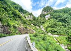 そこは秘境「道が1本しかない県境」がサイコーの絶景だった！「林道」から名前を変更した道とは？