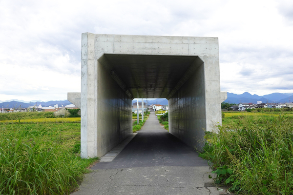 田んぼにポツンと謎のトンネル!? 実は巨大国道バイパス “後回しの埼玉”ようやく変貌