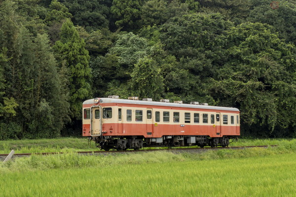 唯一の現役車が引退間近 その理由は「路線延伸」？ 全国どこでも見られた「キハ20系」最期のとき