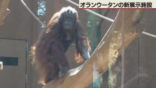 円山動物園に新施設　オランウータンの故郷・ボルネオの森を再現