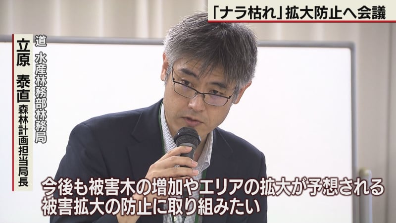 原因となる虫が急増　「ナラ枯れ」拡大防止へ対策会議