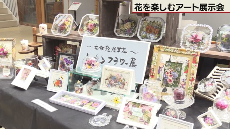 まるで絵画…札幌・豊平公園で推し花とレカンフラワーの展示会